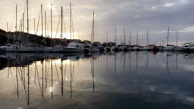 Magnifique Appartement Devant La Plage Propriano  Eksteriør billede
