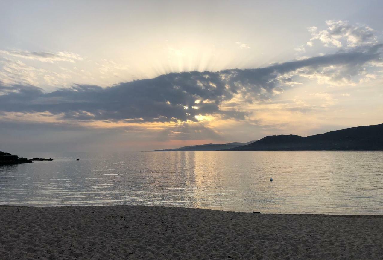 Magnifique Appartement Devant La Plage Propriano  Eksteriør billede
