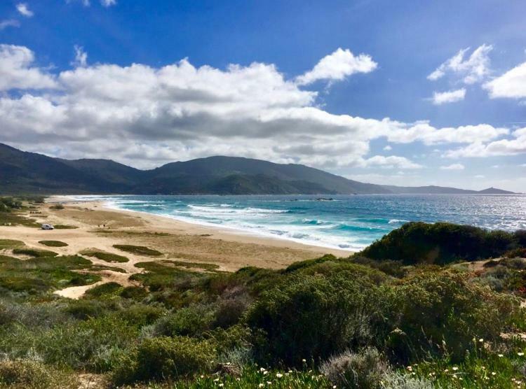 Magnifique Appartement Devant La Plage Propriano  Eksteriør billede